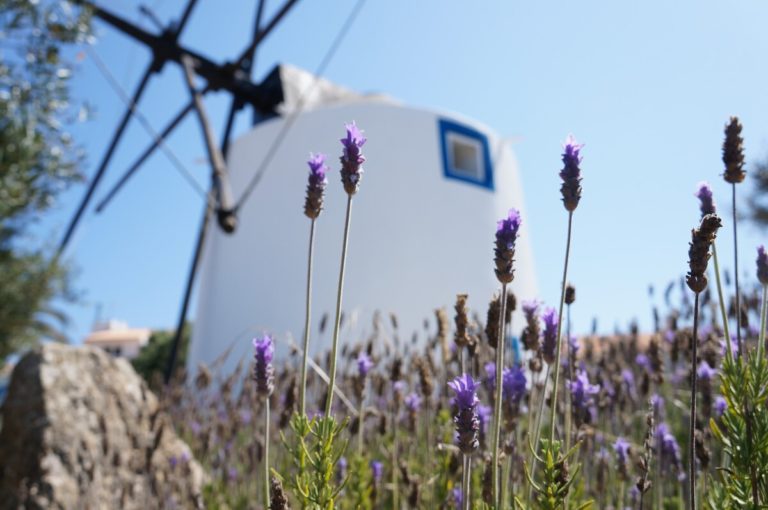 Windmühle O Remoinho